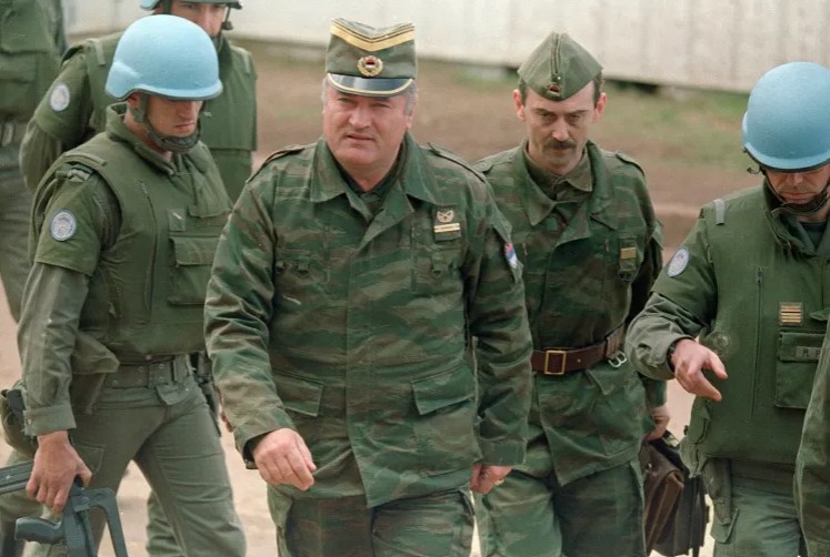 Shape